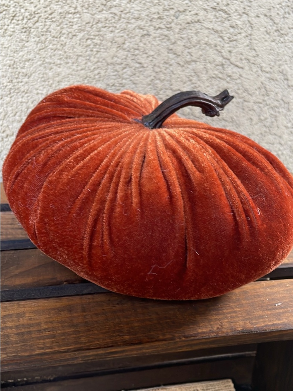 Velvet Pumpkin